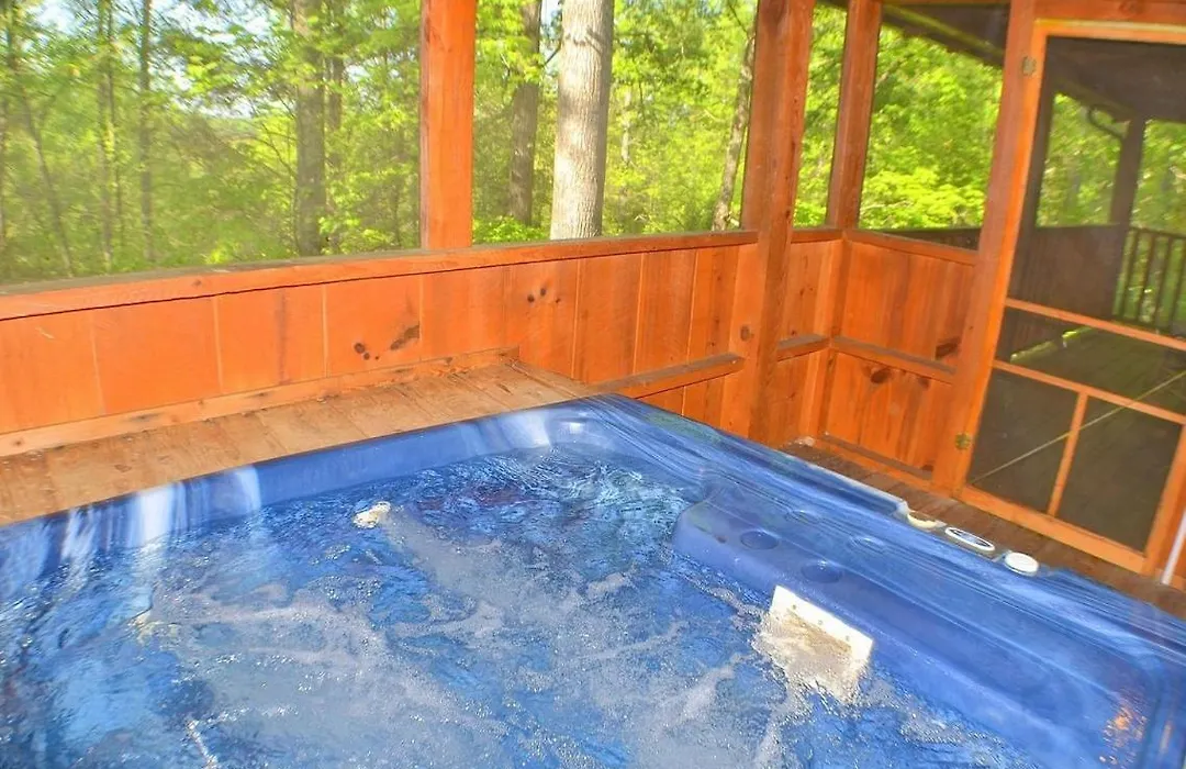 Cabin Fever-1